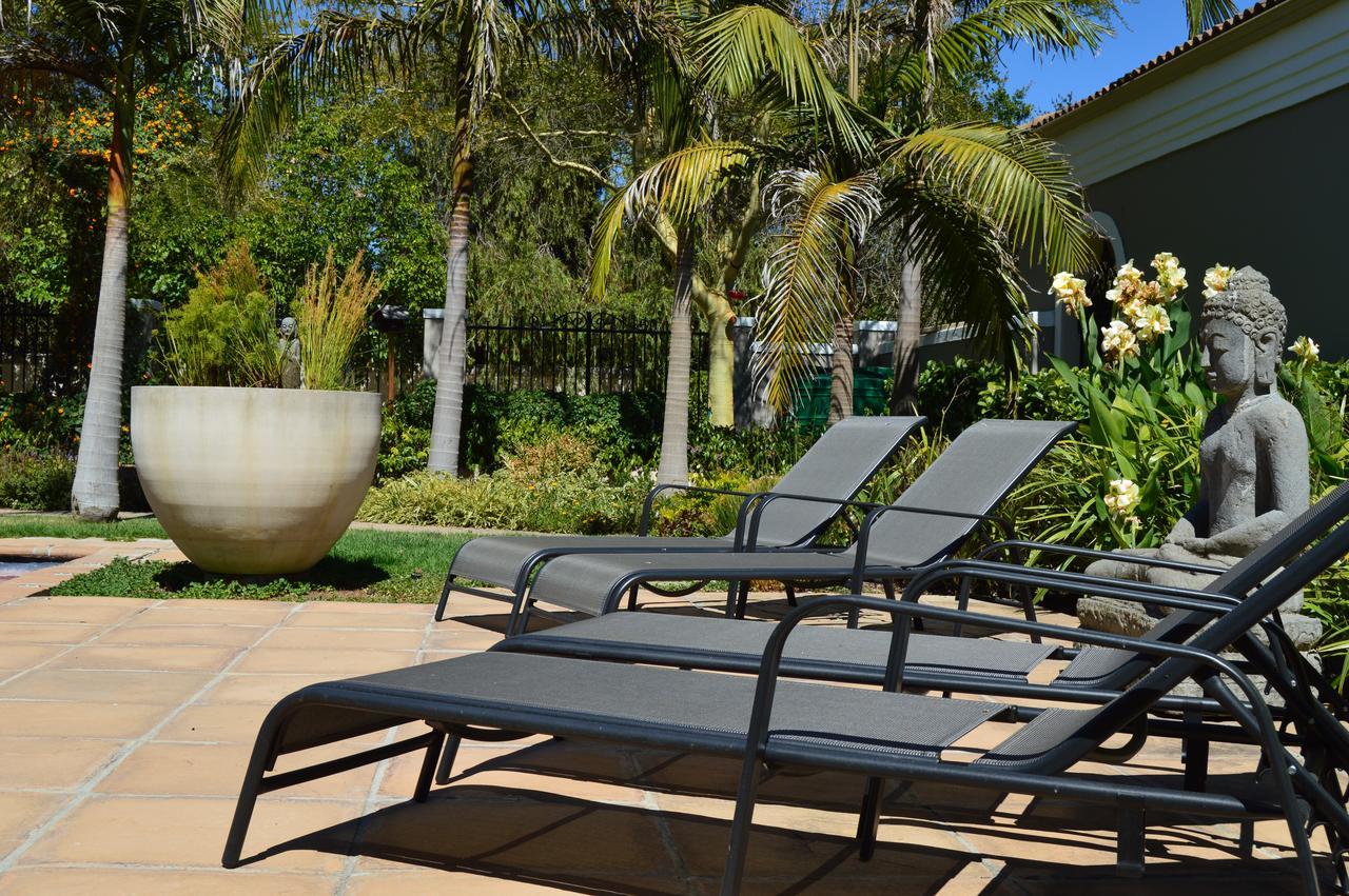 African Palm Cottage And Guesthouse Durbanville Bagian luar foto