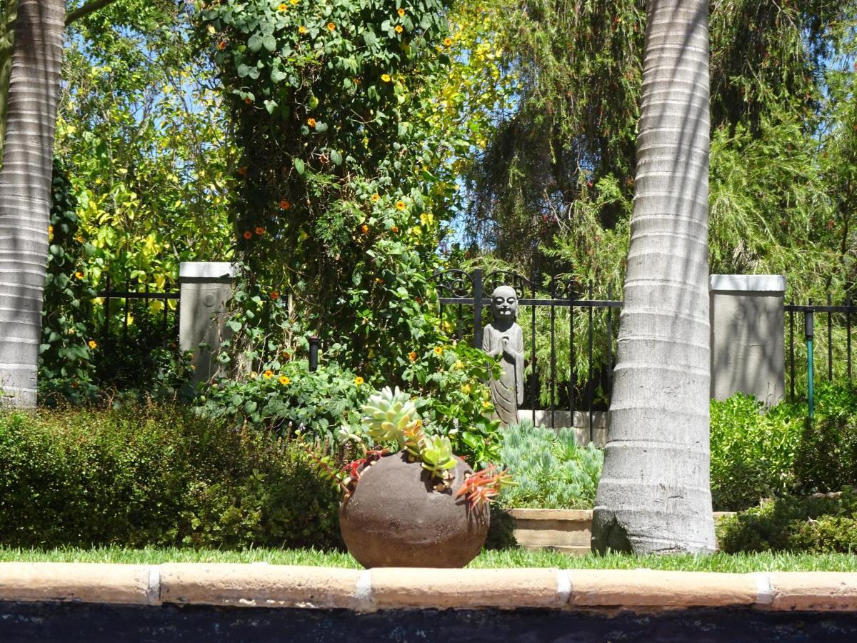 African Palm Cottage And Guesthouse Durbanville Bagian luar foto